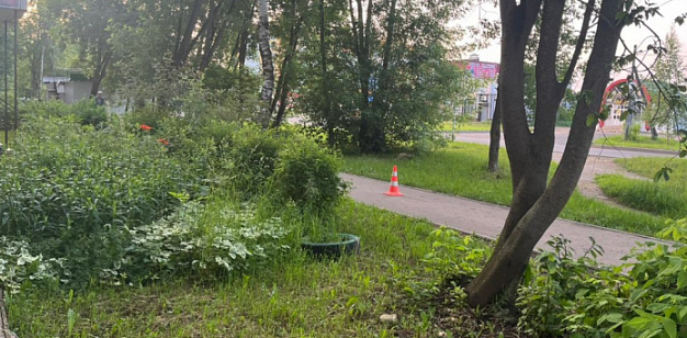 В Кинешме самокатчик сбил пенсионера и скрылся